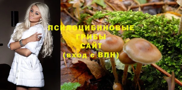 прущая мука Остров