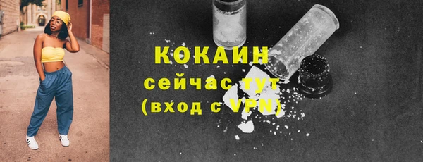 мдпв Осинники