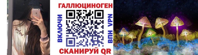 Псилоцибиновые грибы Psilocybe  Слюдянка 